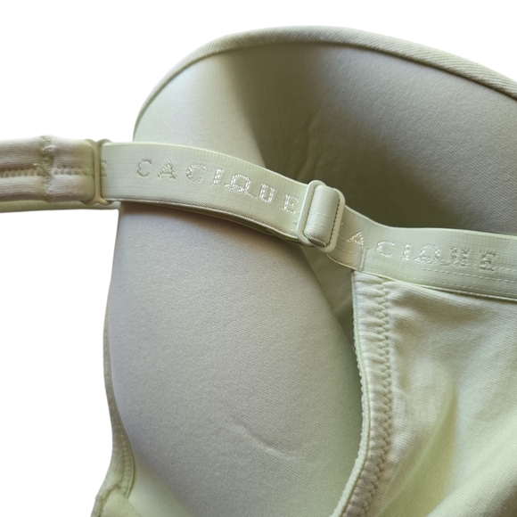 Cacique Pastel Green Lace Lightly Lined Bra ~ 44DDD - Picture 2 of 6